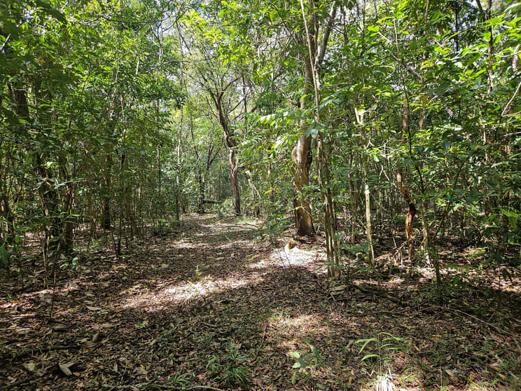 Click to view all images 2401 Rossville Bloomfield Road Bloomfield QLD 4895 - Image 3