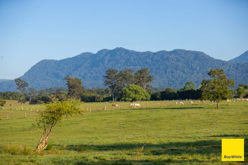 Click to view all images 1531 Waterfall Way Bellingen NSW 2454 - Image 1