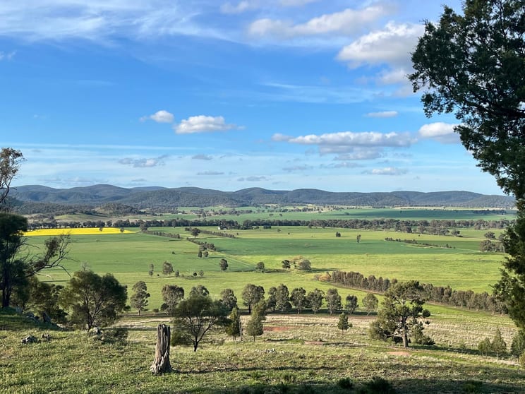Click to view all images 92 Campbells Lane Canowindra NSW 2804 - Image 2