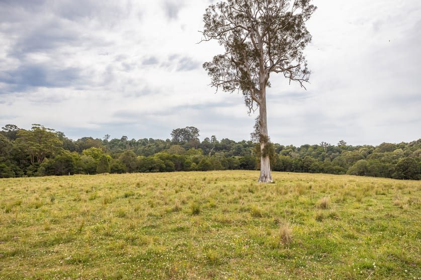 Click to view all images 180 Norries Road Bunyah NSW 2429 - Image 2