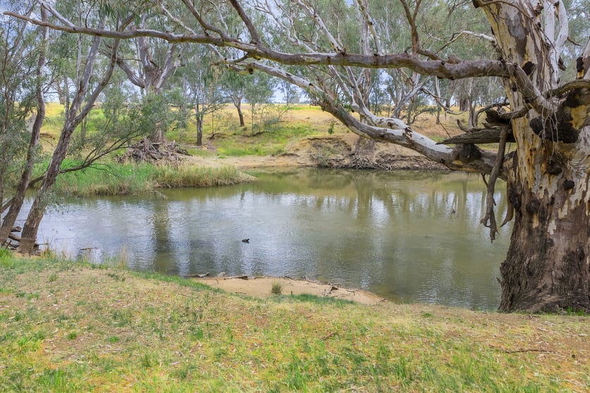 Click to view all images . River Road Elmore VIC 3558 - Image 3