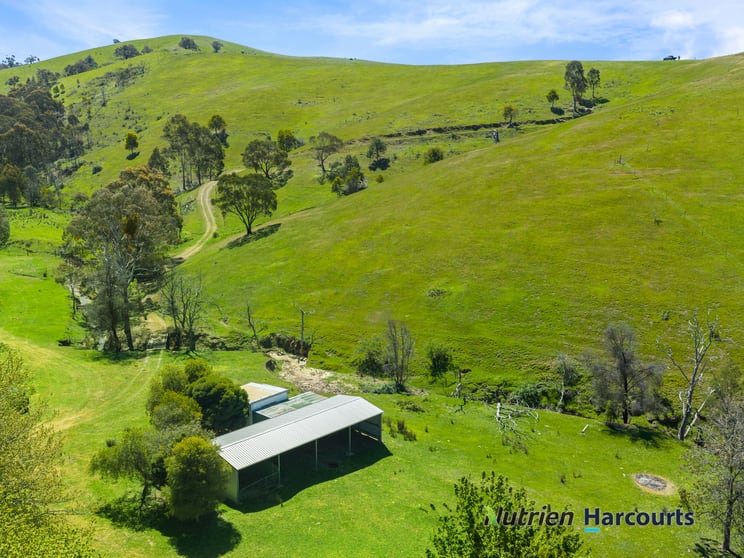 356 Mcnallys Road Strath Creek VIC 3658 - Image 1