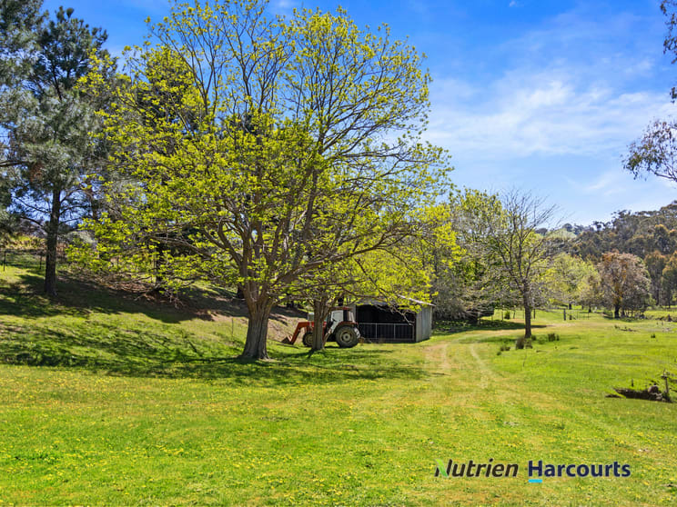356 Mcnallys Road Strath Creek VIC 3658 - Image 2