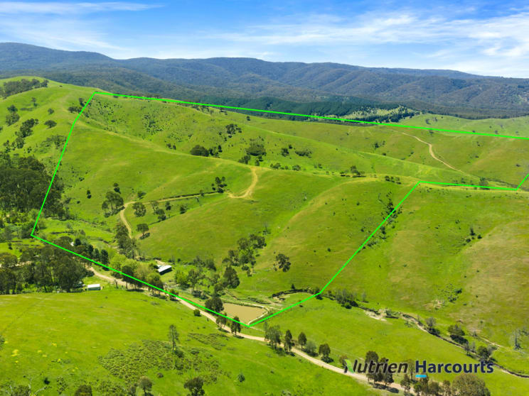 356 Mcnallys Road Strath Creek VIC 3658 - Image 3