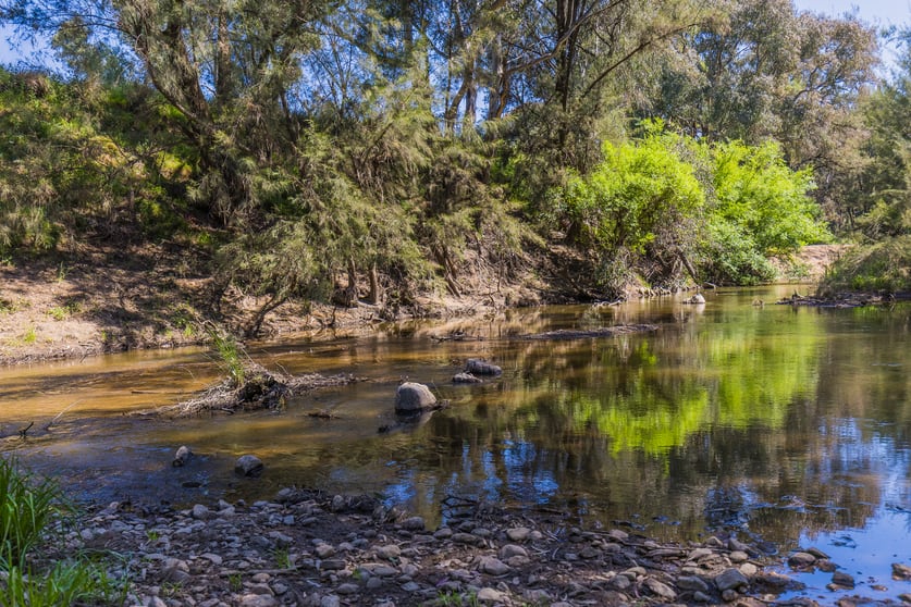 Click to view all images 4194 Twelve Mile Road Gulgong NSW 2852 - Image 1
