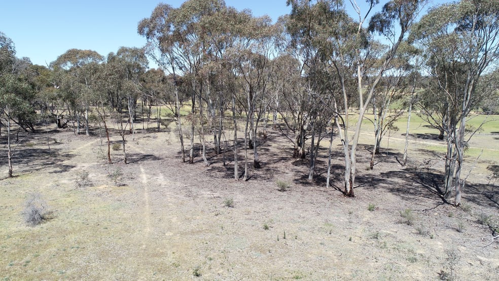 Allotment 7D Wedderburn Road St Arnaud East VIC 3477 - Image 2