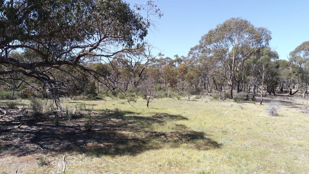 Allotment 7D Wedderburn Road St Arnaud East VIC 3477 - Image 3