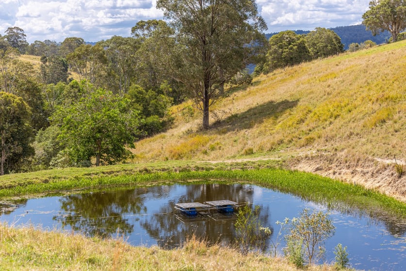 Click to view all images 129 Days Road Belbora NSW 2422 - Image 2