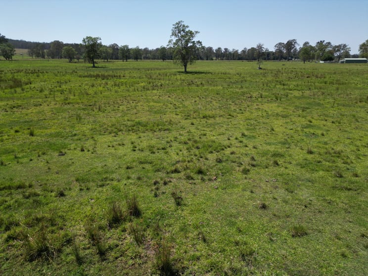 Click to view all images 140 Hogarth Range Road Mongogarie NSW 2470 - Image 3