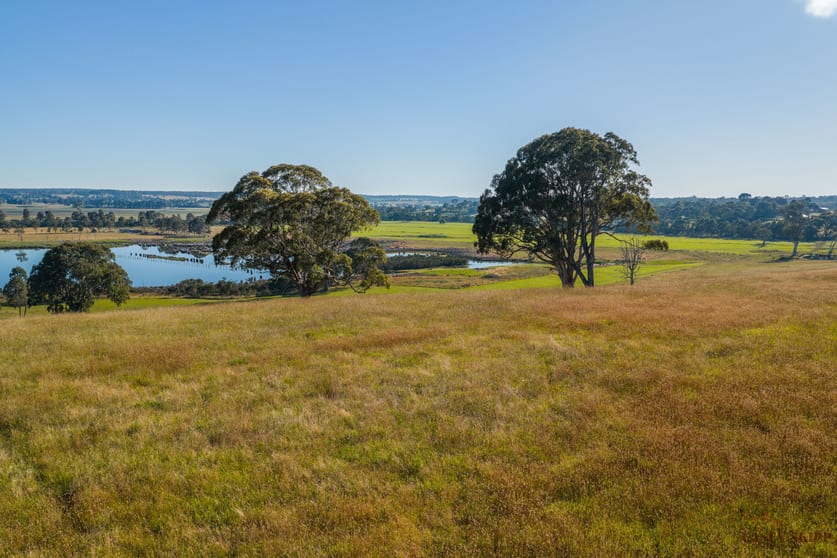 Click to view all images 364 Metung Road Metung VIC 3904 - Image 3