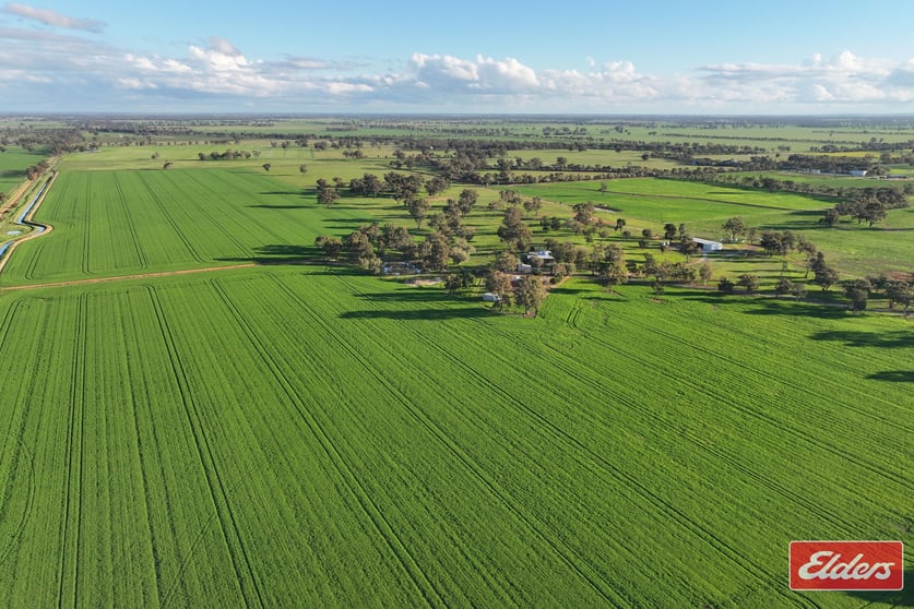 Click to view all images 937 Ham Road Moama NSW 2731 - Image 2