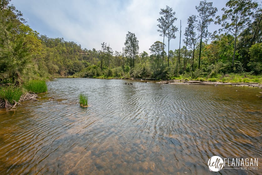 Click to view all images 943 Dungay Creek Road Wittitrin NSW 2440 - Image 2