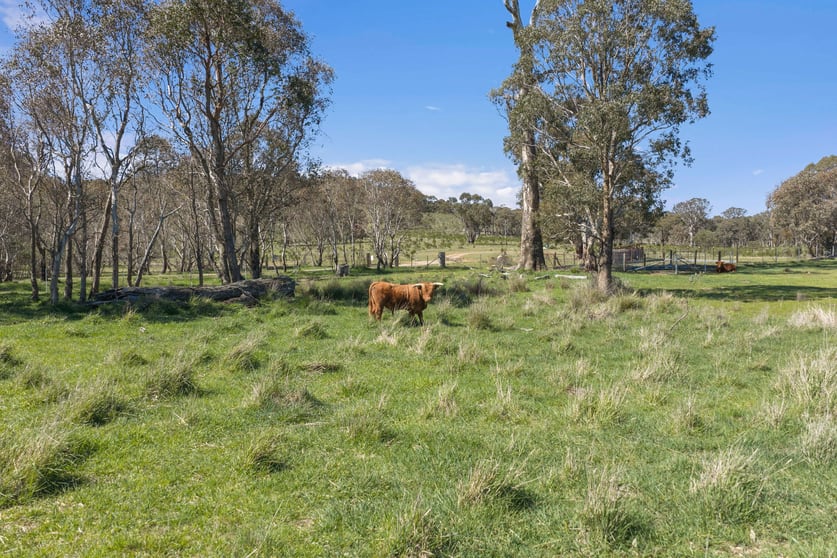 "Four Points Farm" Berrebangelo Road Yass River NSW 2582 - Image 3