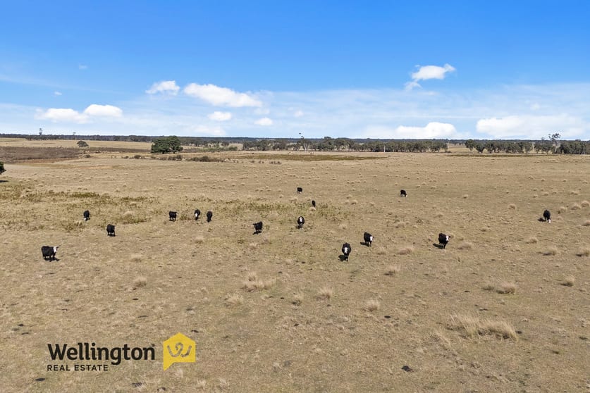 Click to view all images CA 19 Sec 2 Reservoir Road Munro VIC 3862 - Image 2