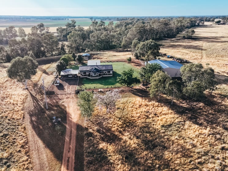 440 Castlereagh Highway Gilgandra NSW 2827 - Image 2