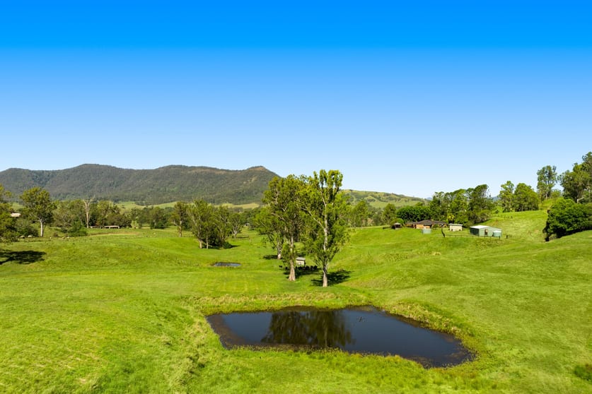 1255 Wiangaree Back Road Kyogle NSW 2474 - Image 1