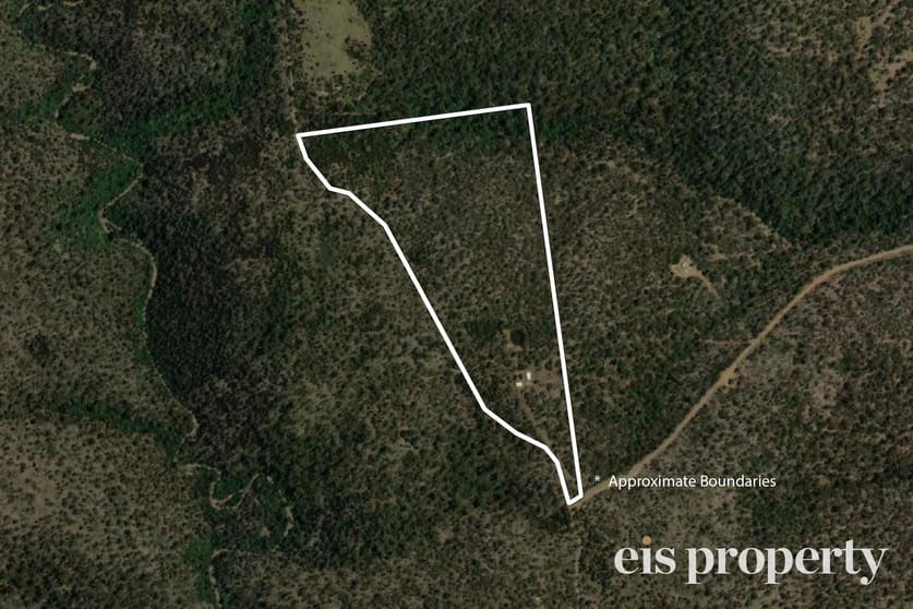 303 Alma Road Orford TAS 7190 - Image 3