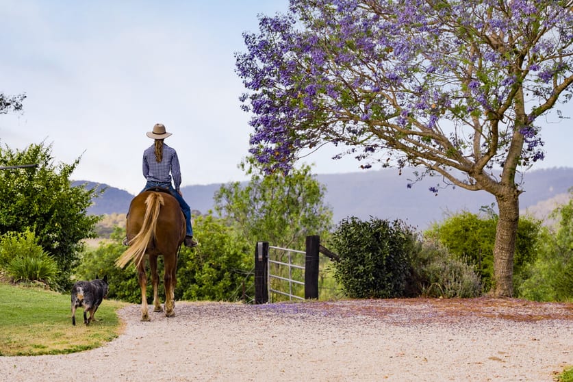 Click to view all images 189 Priors Road Rockmount QLD 4344 - Image 3