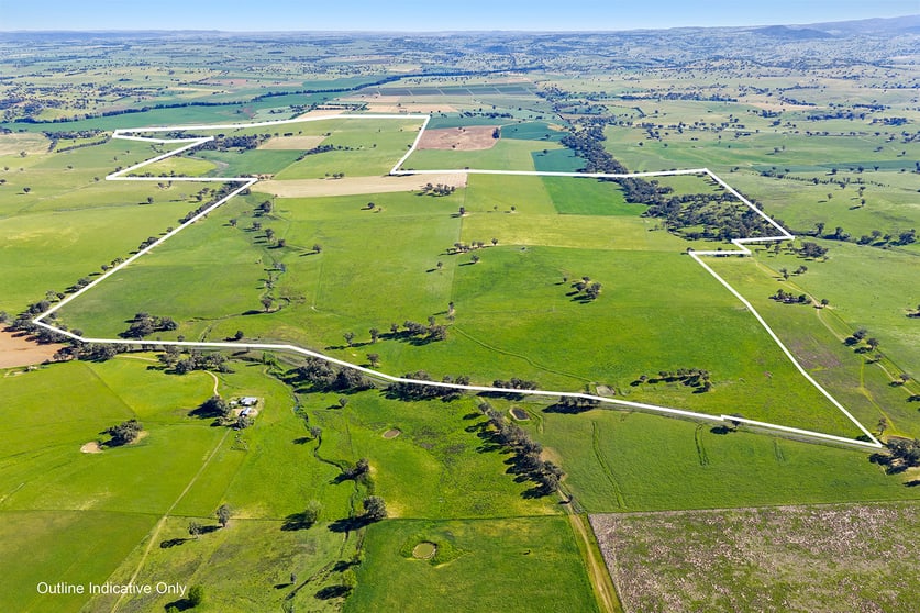 3809 Belubula Way Canowindra NSW 2804 - Image 1