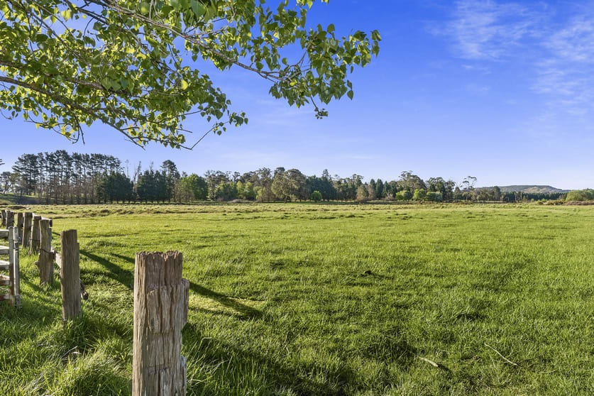 Click to view all images 61 Conflict Street Sutton Forest NSW 2577 - Image 3