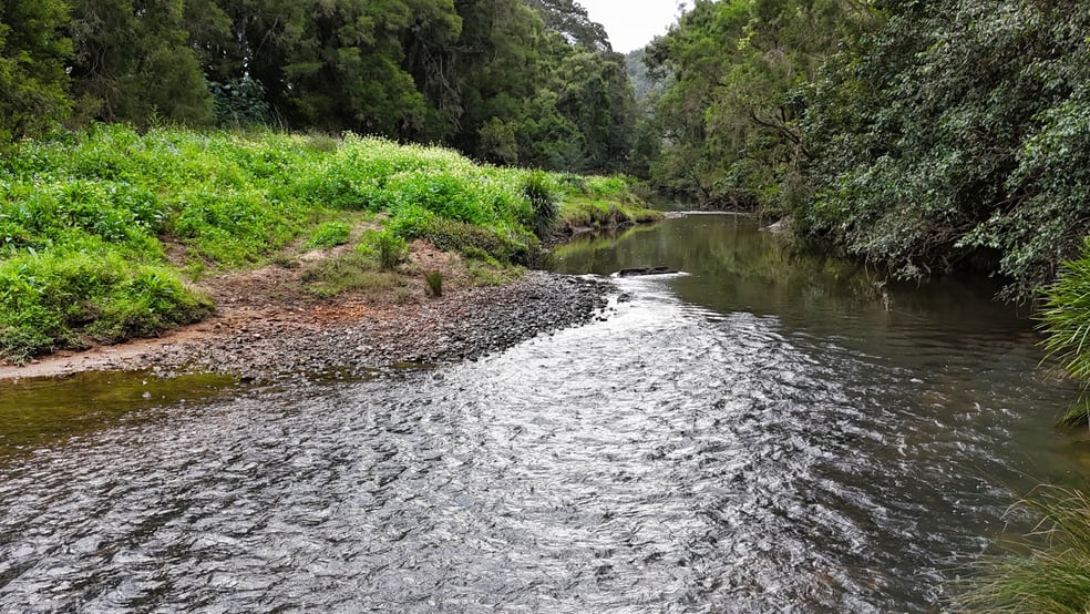 12 Girraween Road Rathdowney QLD 4287 - Image 2