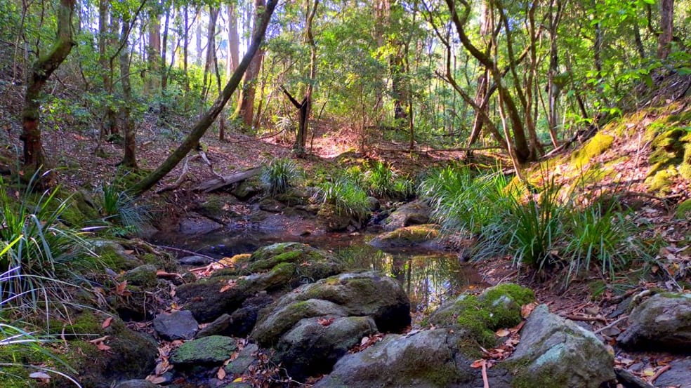 Click to view all images 365 Larkins Road Deep Creek NSW 2440 - Image 2