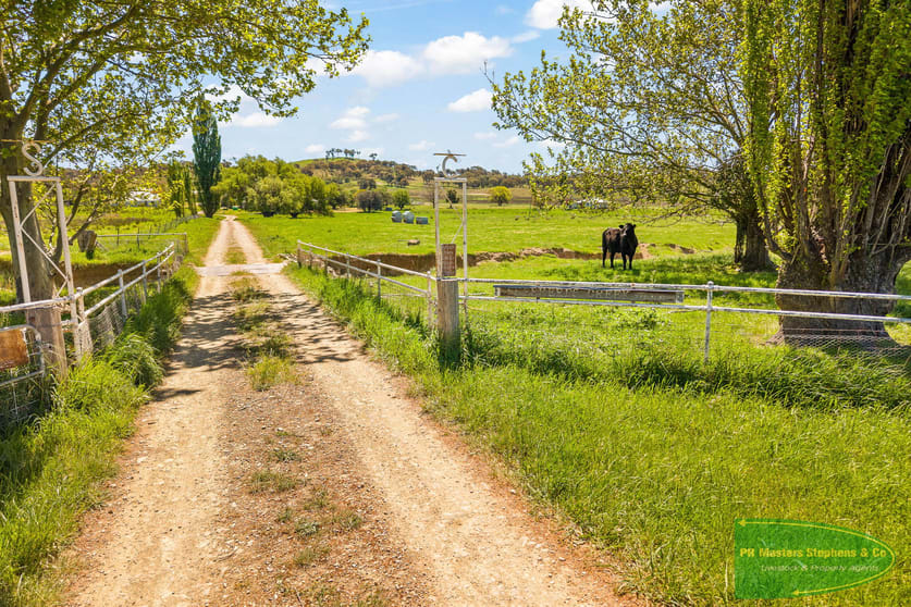 351 Shepherds Creek Road Euchareena NSW 2866 - Image 3