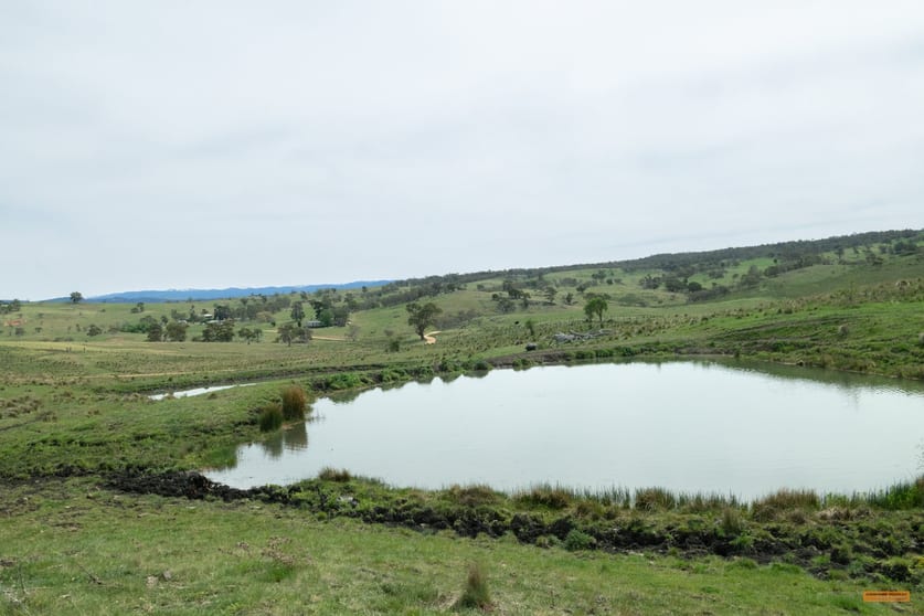 Click to view all images "Manderley" 1491 Slacks Creek Road Cootralantra NSW 2628 - Image 2