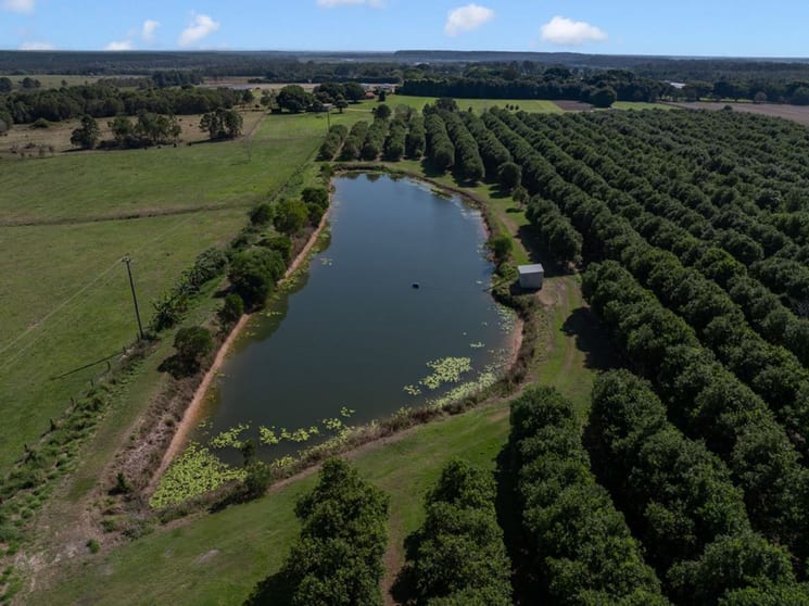 32 Beerburrum Donnybrook Road Donnybrook QLD 4510 - Image 3