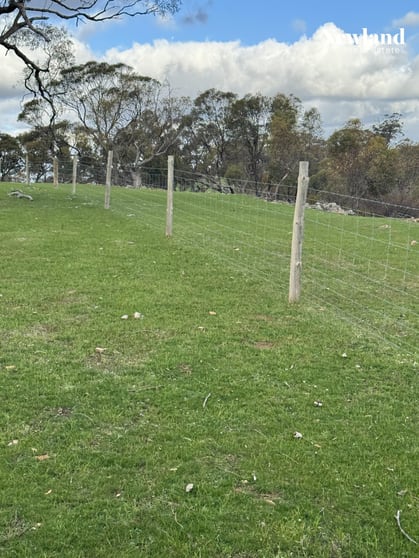 Lot 556 Kelly Road Undalya SA 5451 - Image 2