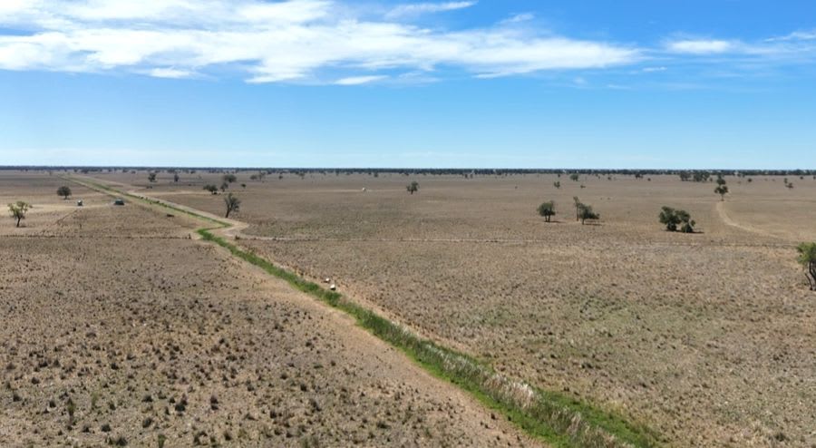923 Warrena Road Coonamble NSW 2829 - Image 3