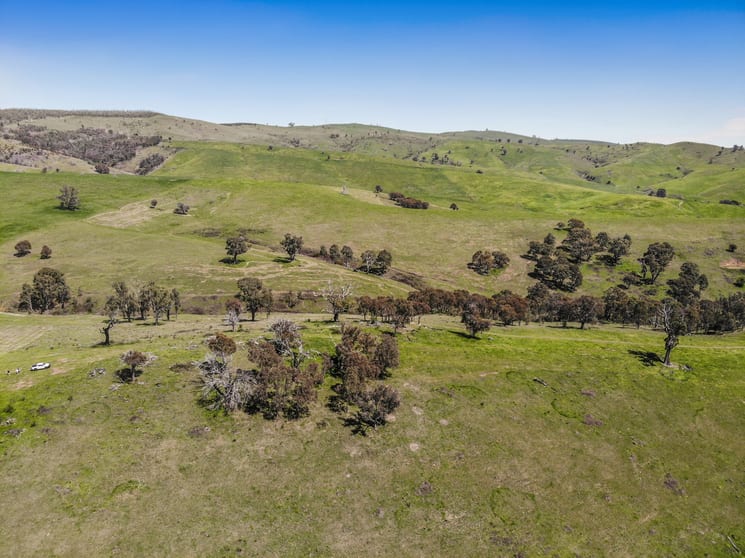 1260 Wondalga Road Adelong NSW 2729 - Image 2