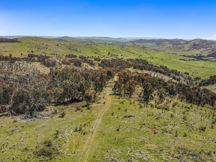 1260 Wondalga Road Adelong NSW 2729 - Image 3