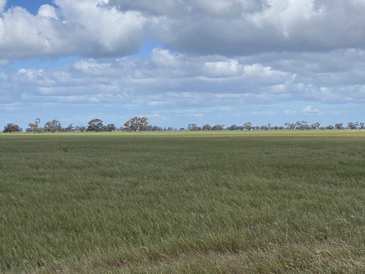 Three Chain Road Birchip VIC 3483 - Image 2
