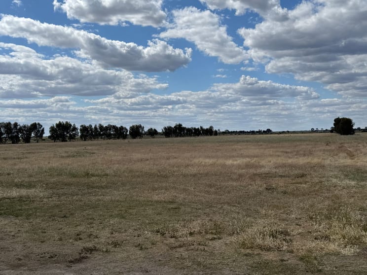 1000 Cohuna - McMillans Road Cohuna VIC 3568 - Image 2