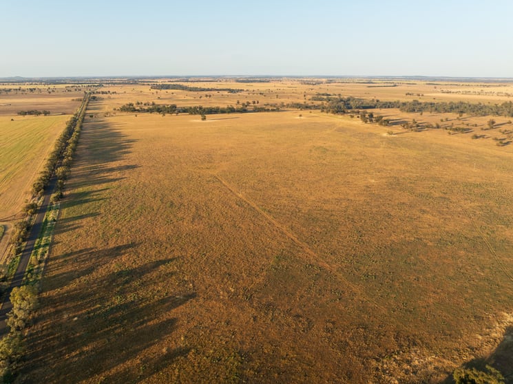 Motherleigh 98 The Grange Road Peak Hill NSW 2869 - Image 3