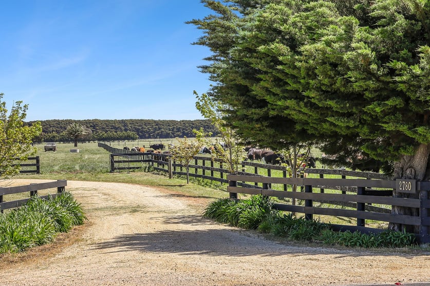 2780 Cape Otway Road Winchelsea VIC 3241 - Image 3