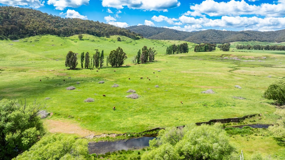 Click to view all images 'Grassmere'/2485 Tallangatta Creek Rd Tallangatta Valley VIC 3701 - Image 3
