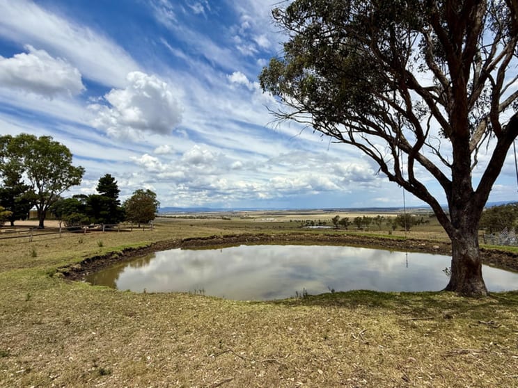 Click to view all images 132 Wrights Road Mount Tabor QLD 4370 - Image 3