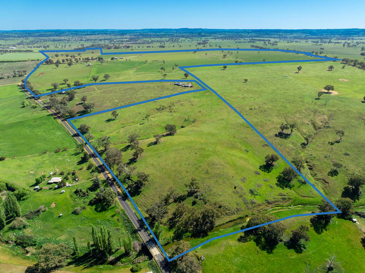 Click to view all images 1097 Davys Plains Road Cudal NSW 2864 - Image 1