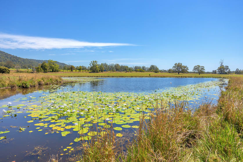 Click to view all images 389 Careys Road Hillville NSW 2430 - Image 2