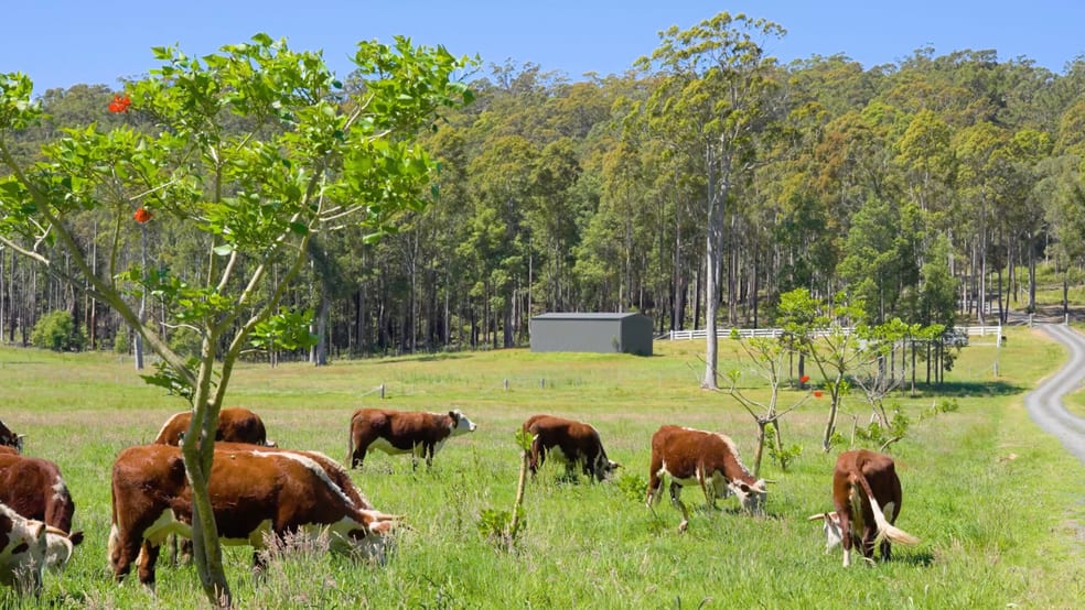 Click to view all images 41/271 Lemon Tree Creek Road Termeil NSW 2539 - Image 3