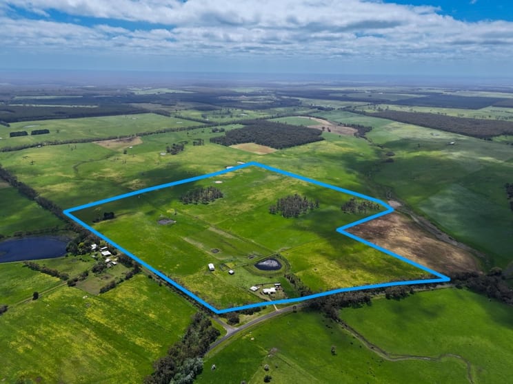 Click to view all images 830 Condah-Ettrick Road Milltown VIC 3304 - Image 2