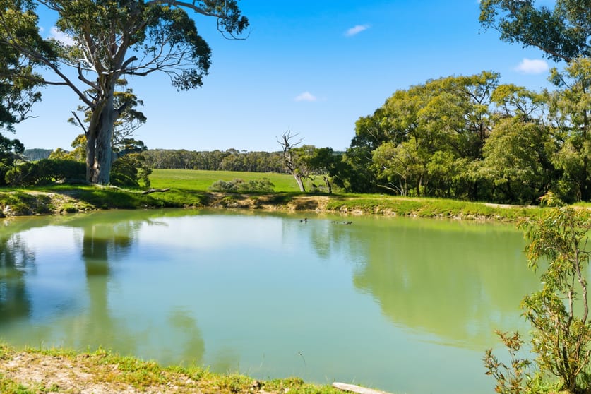 Click to view all images 10665 Caves Road Deepdene WA 6290 - Image 1