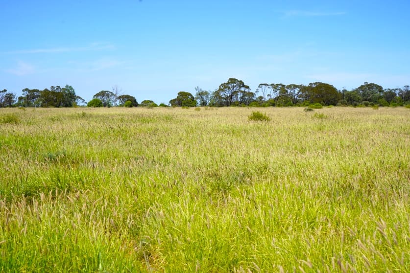 Click to view all images 1081 Tareela Access Road Mungallala QLD 4467 - Image 1