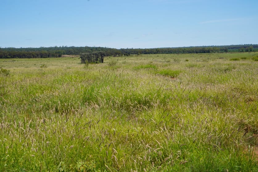 Click to view all images 1081 Tareela Access Road Mungallala QLD 4467 - Image 2