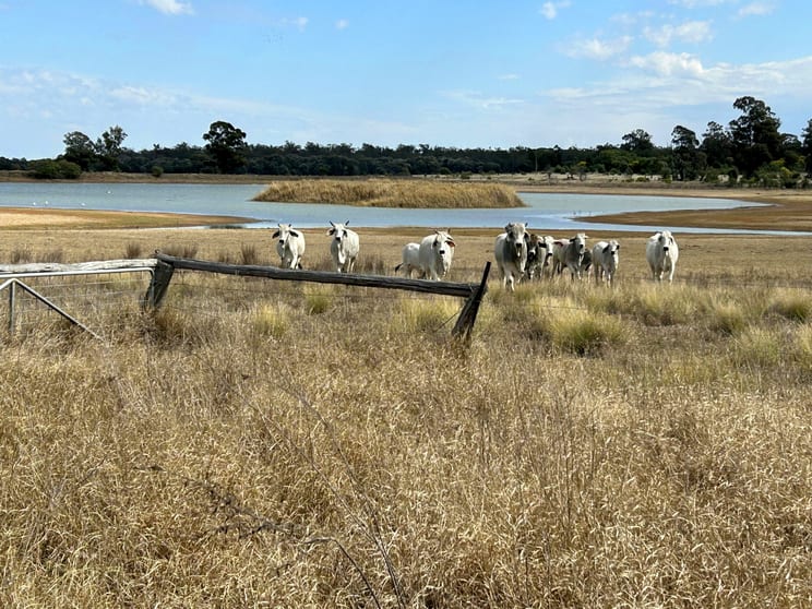 Click to view all images "Sedgwick" Chinchilla - Tara Road Tara QLD 4421 - Image 1