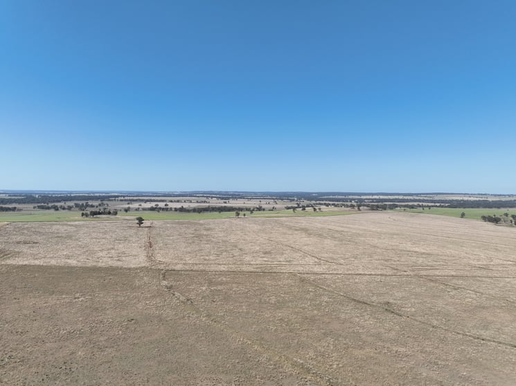 "Block Four" 465 Napier Lane Coonabarabran NSW 2357 - Image 2
