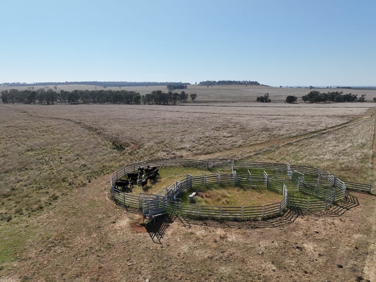 "Block Four" 465 Napier Lane Coonabarabran NSW 2357 - Image 3