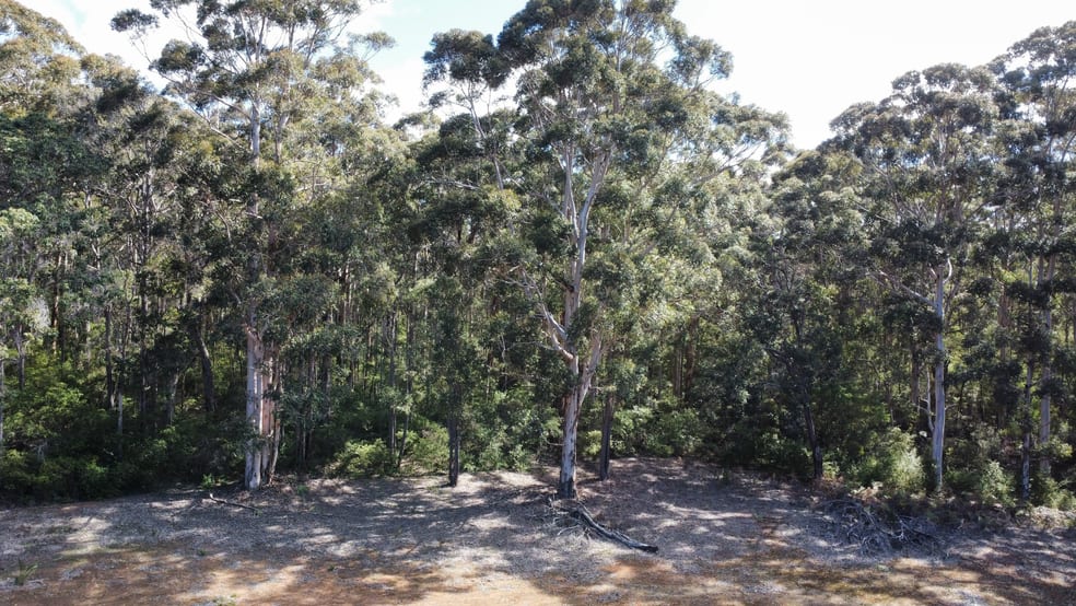 Click to view all images 166 Redgate Road Witchcliffe WA 6286 - Image 3